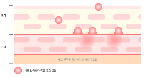 슈링크