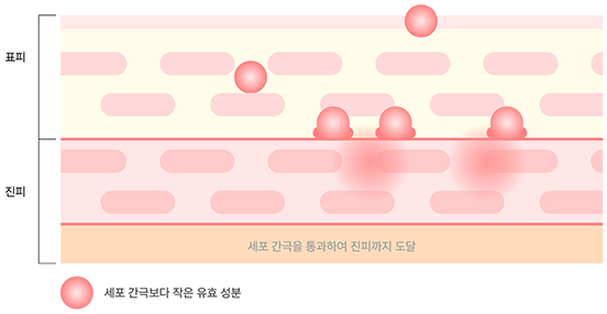 슈링크